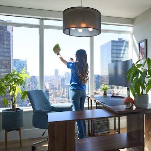Professional Cleaning Services