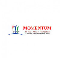 Momentum