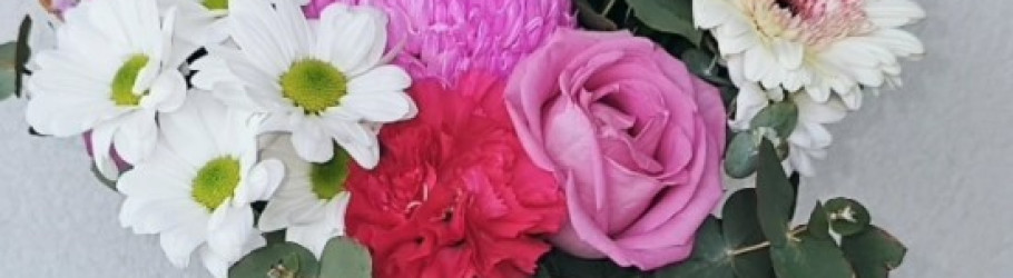blossombydaisy