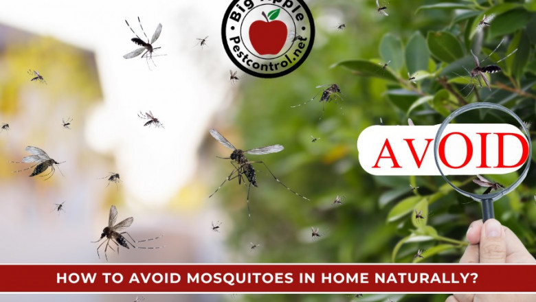 A pest‑free record boosts buyer confidence and appraisal values