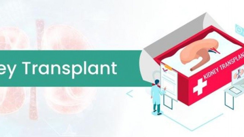Understanding Kidney Transplant Cost in India: What You Need to Know