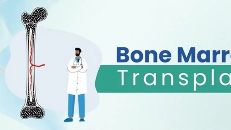 Understanding the Bone Marrow Transplant Cost in India: A Comprehensive Guide