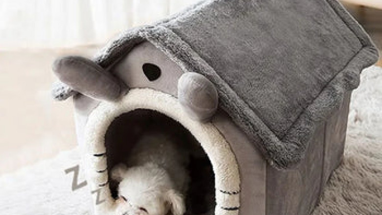 How to Choose the Right Toy for Your Pet's Age and Size