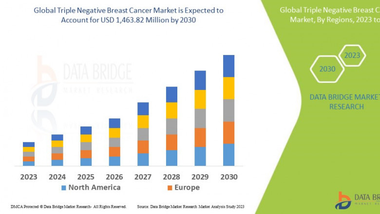 Triple Negative Breast Cancer Market expected to reach USD 1.63 billion by 2032