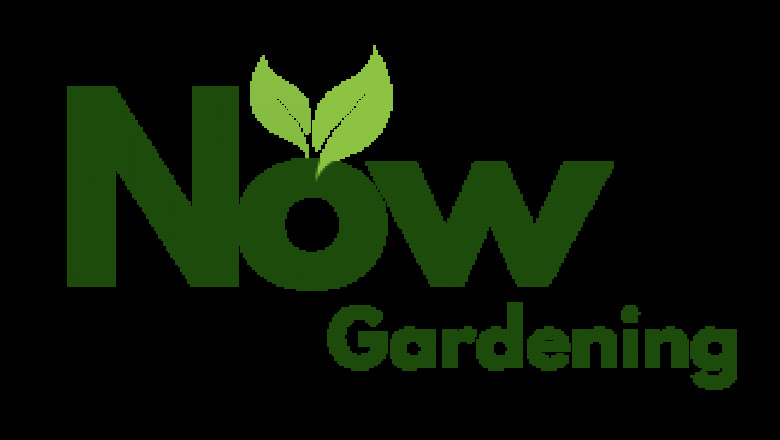Why Garden Maintenance Matters All Year Round — Not Just in Summer