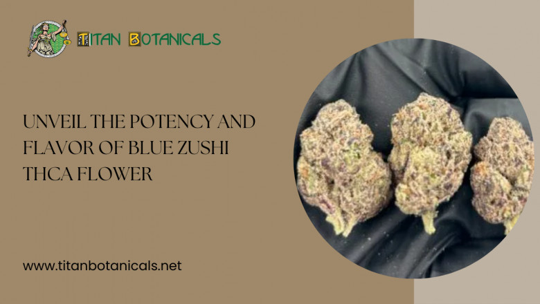 Unveil the Potency and Flavor of Blue Zushi THCa Flower