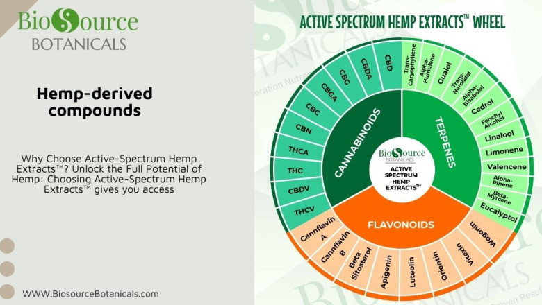 Experience the Power of Active Spectrum: A New Era in Hemp-Derived Compounds for Natural Wellness