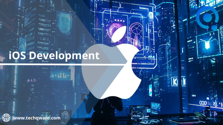 The Ultimate Guide to iOS Development Company
