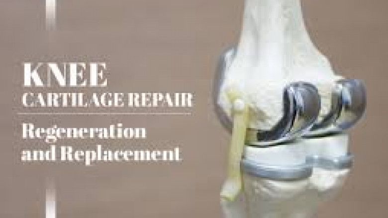 Can You Repair Knee Cartilage Naturally While Using Aspadol 100mg?