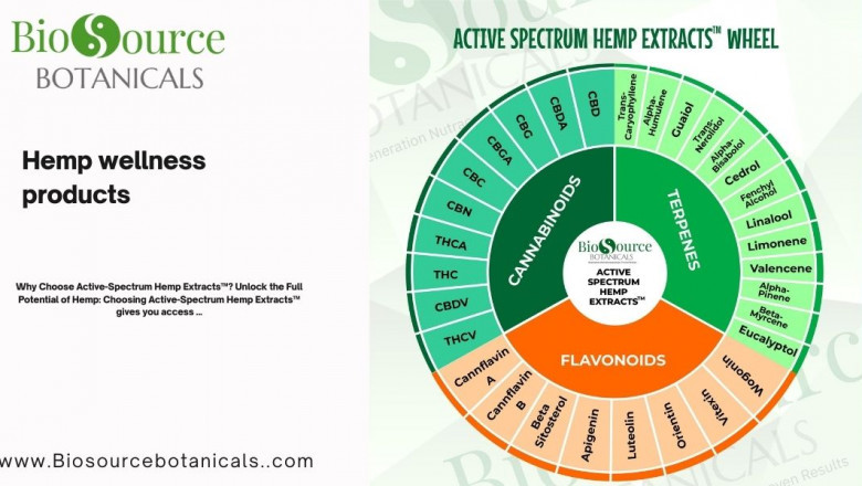 Nature's Potential: How Active Spectrum Hemp Wellness Products Enhance Everyday Life
