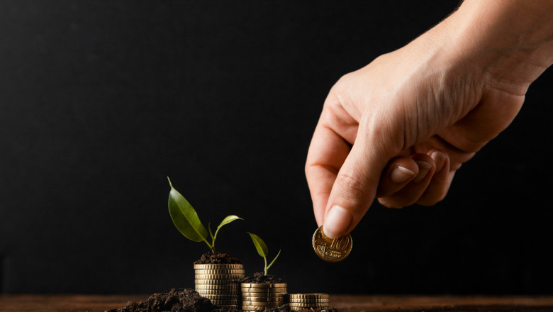 The Role of Mutual Fund Distributors in Investment Management Explained