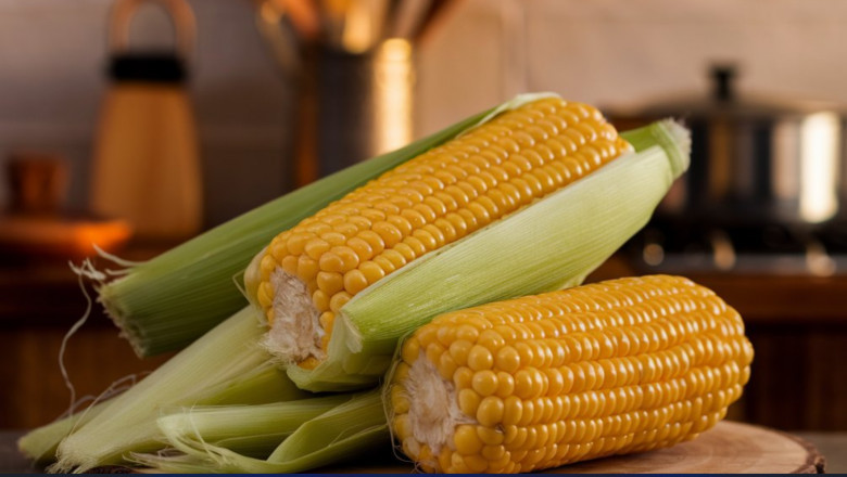 Cornflour FODMAP: Is It Safe for IBS?