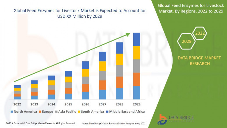 Feed Enzymes for Livestock Market Overview, Growth Analysis, Trends and Forecast By 2029