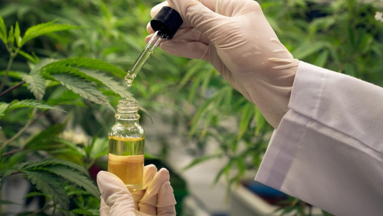 Prefeasibility Report on a Neem Oil Processing Plant Project Setup Cost and Expanses