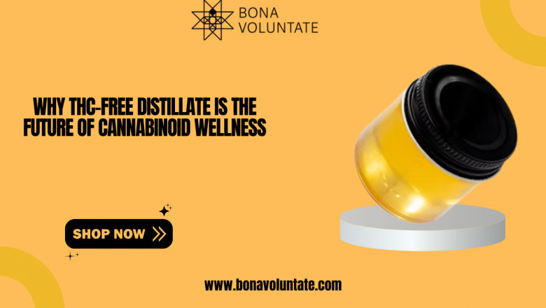 Why THC-Free Distillate is the Future of Cannabinoid Wellness