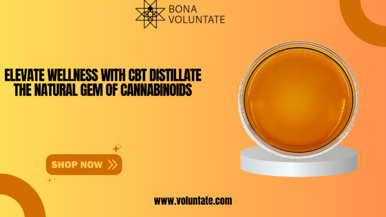 CBT Distillate Uses & Benefits | Voluntate.shop
